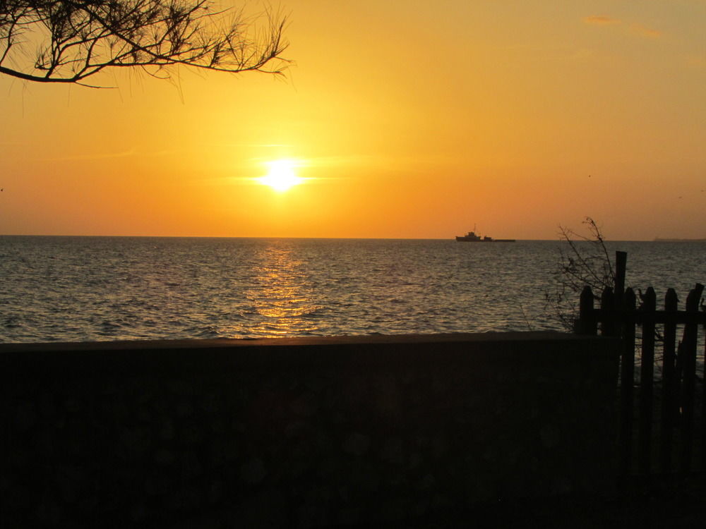 Ocho Rios Villa At Coolshade IV Saint Annʼs Bay Exteriör bild