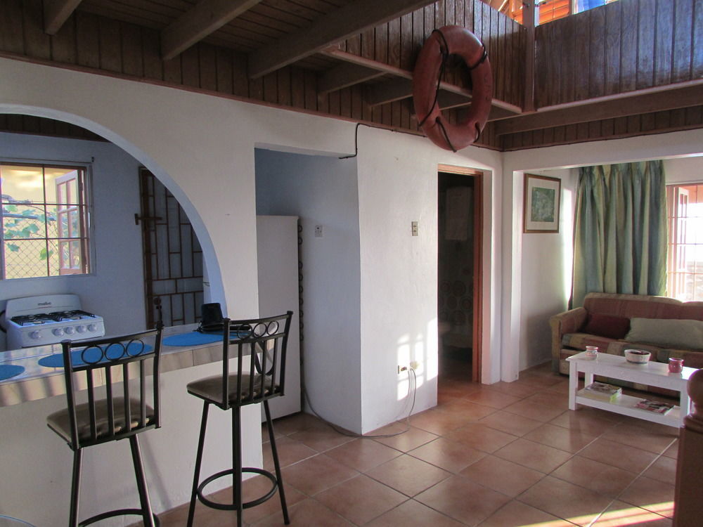 Ocho Rios Villa At Coolshade IV Saint Annʼs Bay Exteriör bild